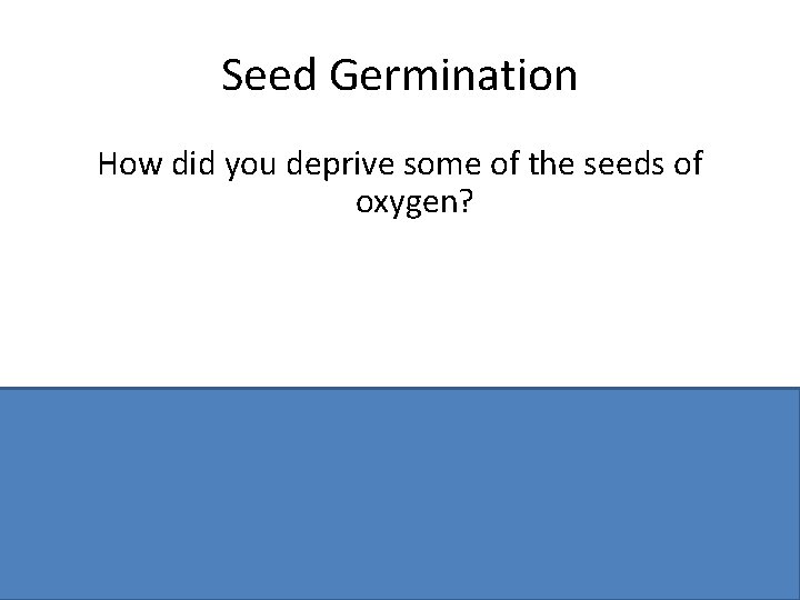 Seed Germination How did you deprive some of the seeds of oxygen? Anaerobic jar