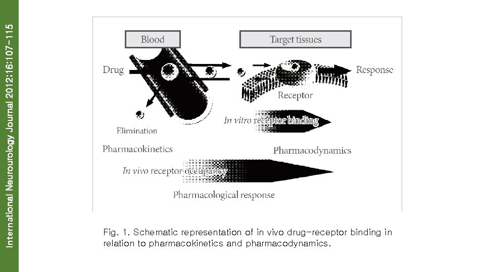 International Neurourology Journal 2012; 16: 107 -115 Fig. 1. Schematic representation of in vivo