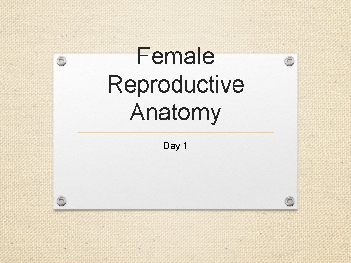 Female Reproductive Anatomy Day 1 