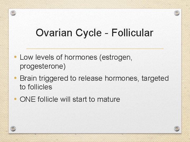 Ovarian Cycle - Follicular • Low levels of hormones (estrogen, progesterone) • Brain triggered