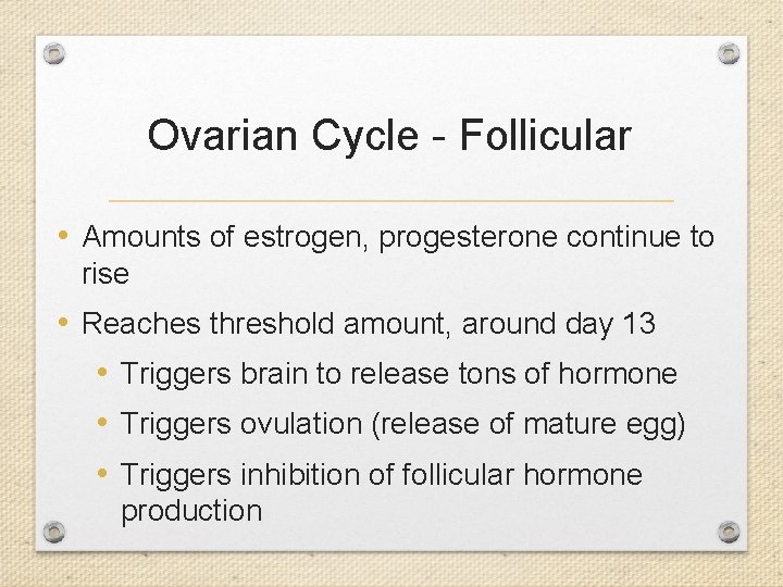 Ovarian Cycle - Follicular • Amounts of estrogen, progesterone continue to rise • Reaches