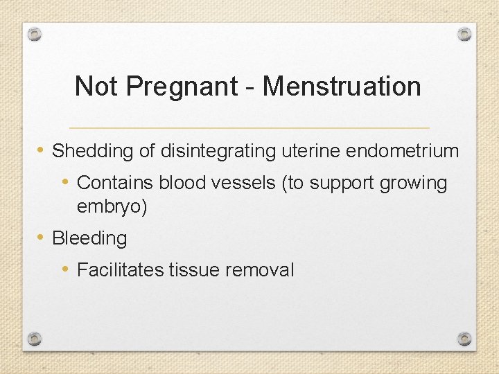 Not Pregnant - Menstruation • Shedding of disintegrating uterine endometrium • Contains blood vessels