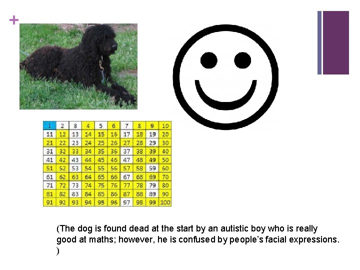 + (The dog is found dead at the start by an autistic boy who