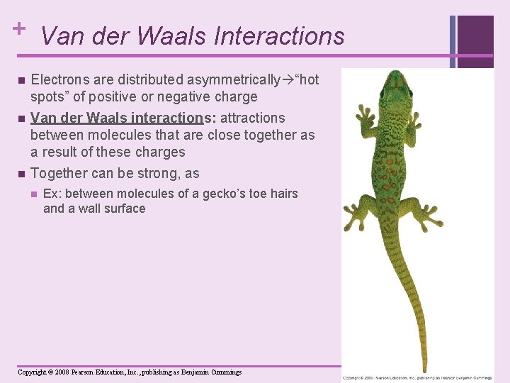 + Van der Waals Interactions n Electrons are distributed asymmetrically “hot spots” of positive