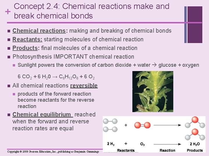 + n n Concept 2. 4: Chemical reactions make and break chemical bonds Chemical