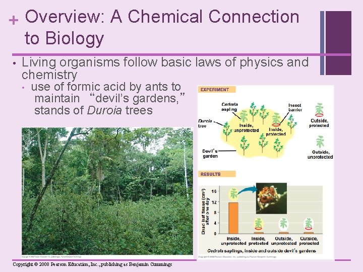 + Overview: A Chemical Connection to Biology • Living organisms follow basic laws of