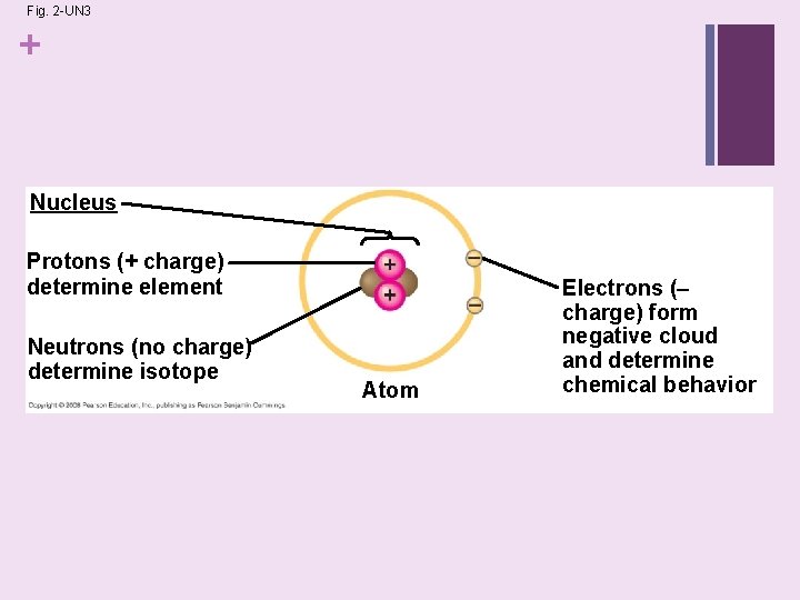 Fig. 2 -UN 3 + Nucleus Protons (+ charge) determine element Neutrons (no charge)