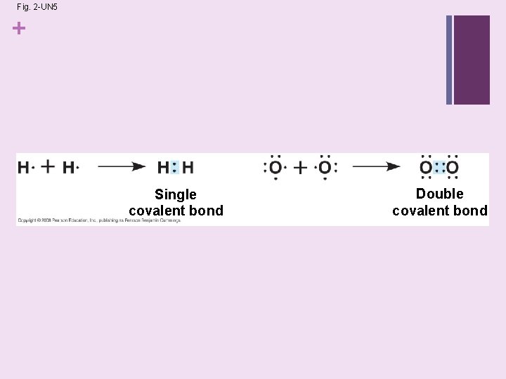 Fig. 2 -UN 5 + Single covalent bond Double covalent bond 