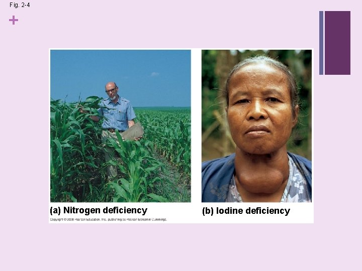 Fig. 2 -4 + (a) Nitrogen deficiency (b) Iodine deficiency 