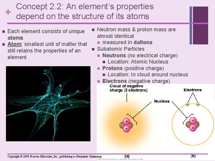 + n n Concept 2. 2: An element’s properties depend on the structure of