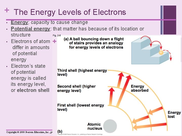 + The Energy Levels of Electrons • • Energy: capacity to cause change Potential