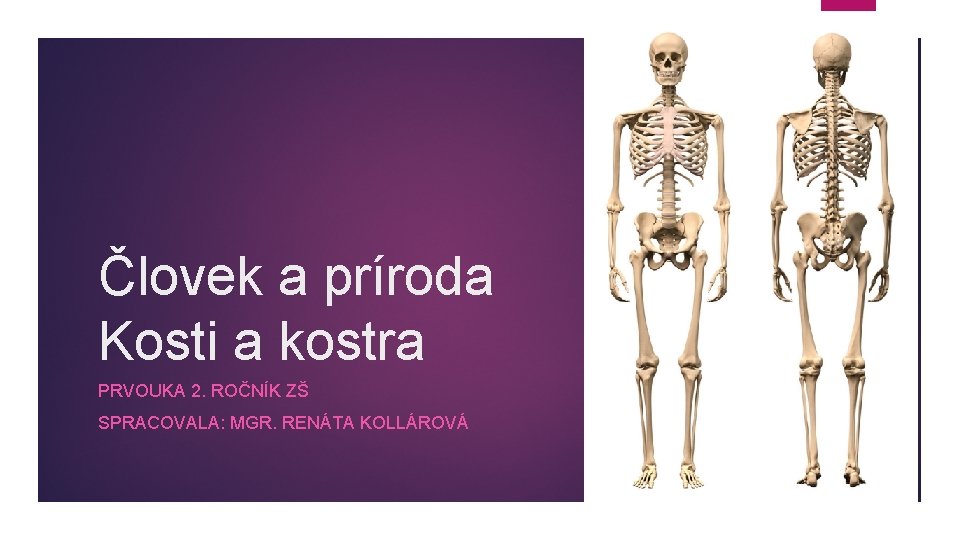 Človek a príroda Kosti a kostra PRVOUKA 2. ROČNÍK ZŠ SPRACOVALA: MGR. RENÁTA KOLLÁROVÁ Človek a príroda Kosti a kostra PRVOUKA 2. ROČNÍK ZŠ SPRACOVALA: MGR. RENÁTA KOLLÁROVÁ