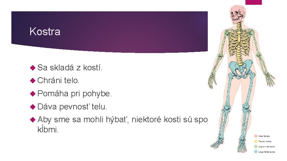 Kostra Sa skladá z kostí. Chráni telo. Pomáha Dáva Aby pri pohybe. pevnosť telu. Kostra Sa skladá z kostí. Chráni telo. Pomáha Dáva Aby pri pohybe. pevnosť telu.