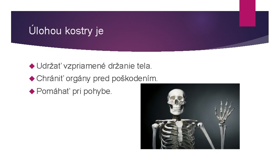 Úlohou kostry je Udržať vzpriamené držanie tela. Chrániť orgány pred poškodením. Pomáhať pri pohybe. Úlohou kostry je Udržať vzpriamené držanie tela. Chrániť orgány pred poškodením. Pomáhať pri pohybe.
