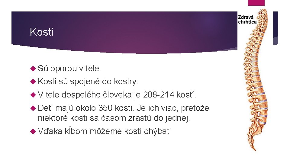 Kosti Sú oporou v tele. Kosti V sú spojené do kostry. tele dospelého človeka Kosti Sú oporou v tele. Kosti V sú spojené do kostry. tele dospelého človeka