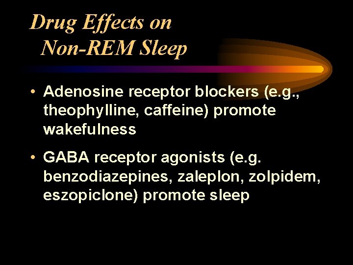 Drug Effects on Non-REM Sleep • Adenosine receptor blockers (e. g. , theophylline, caffeine)
