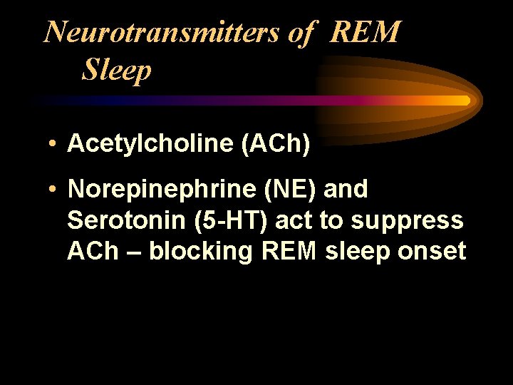 Neurotransmitters of REM Sleep • Acetylcholine (ACh) • Norepinephrine (NE) and Serotonin (5 -HT)
