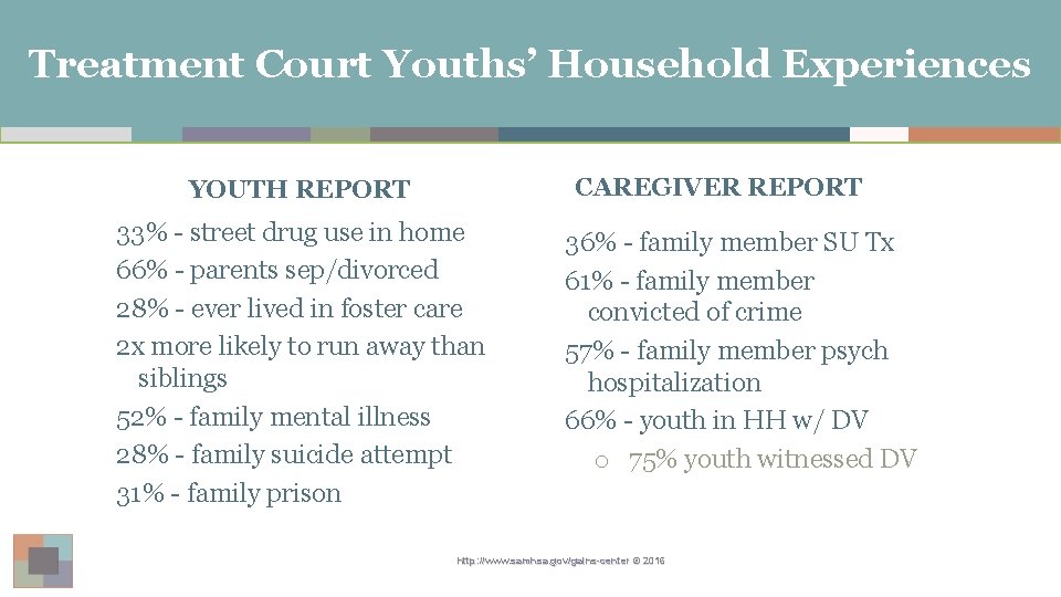 Treatment Court Youths’ Household Experiences CAREGIVER REPORT YOUTH REPORT 33% - street drug use