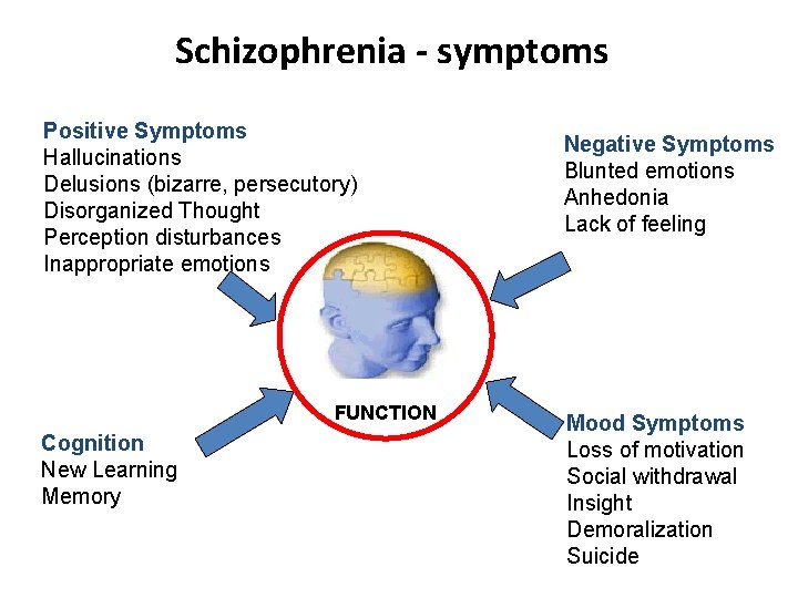 Schizophrenia - symptoms Positive Symptoms Hallucinations Delusions (bizarre, persecutory) Disorganized Thought Perception disturbances Inappropriate