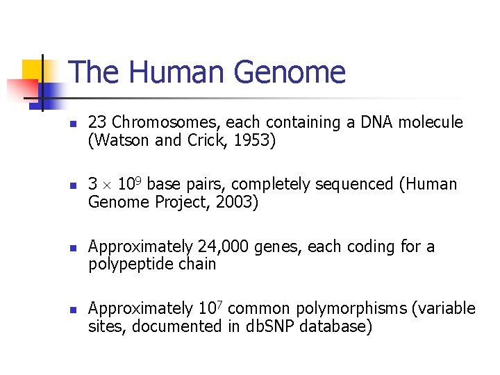 The Human Genome n n 23 Chromosomes, each containing a DNA molecule (Watson and