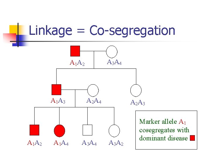 Linkage = Co-segregation A 3 A 4 A 1 A 2 A 1 A