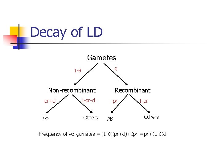 Decay of LD Gametes 1 - Non-recombinant pr+d AB Recombinant 1 -pr-d Others pr