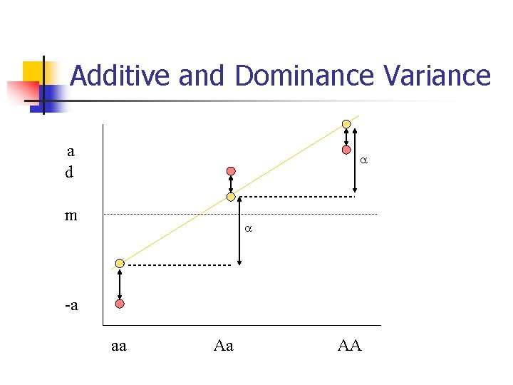 Additive and Dominance Variance a d m -a aa Aa AA 