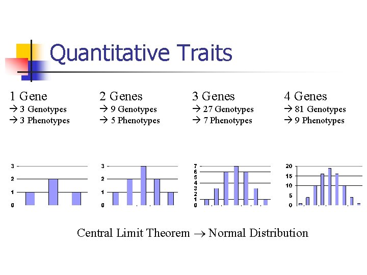 Quantitative Traits 1 Gene 2 Genes 3 Genes 4 Genes 3 Genotypes 3 Phenotypes
