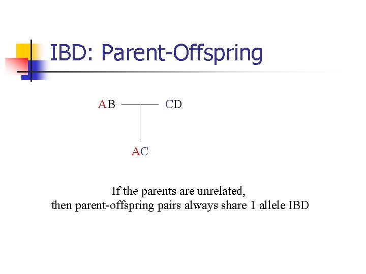 IBD: Parent-Offspring AB CD AC If the parents are unrelated, then parent-offspring pairs always