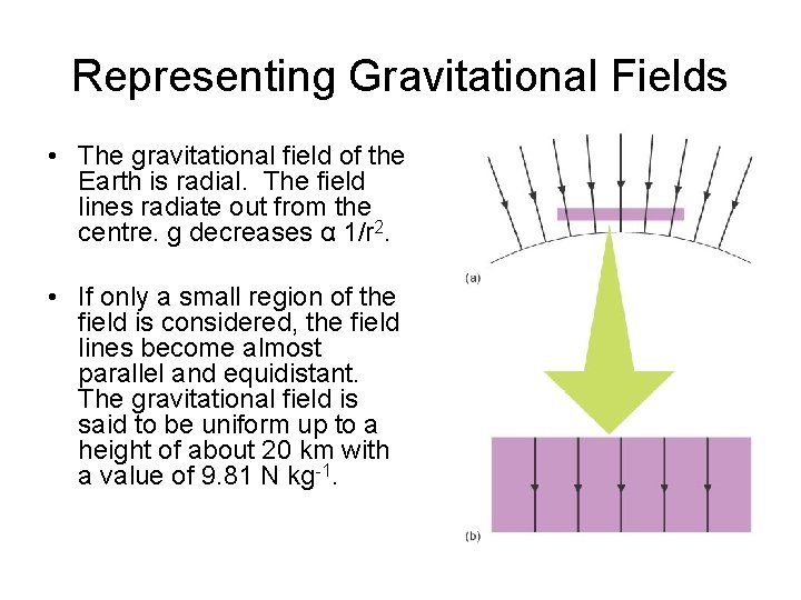 Representing Gravitational Fields • The gravitational field of the Earth is radial. The field