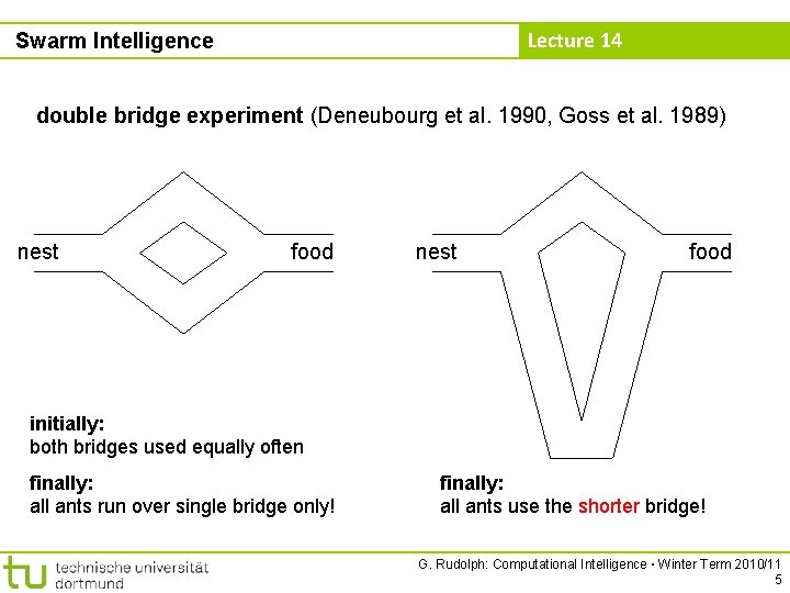 Lecture 14 Swarm Intelligence double bridge experiment (Deneubourg et al. 1990, Goss et al.