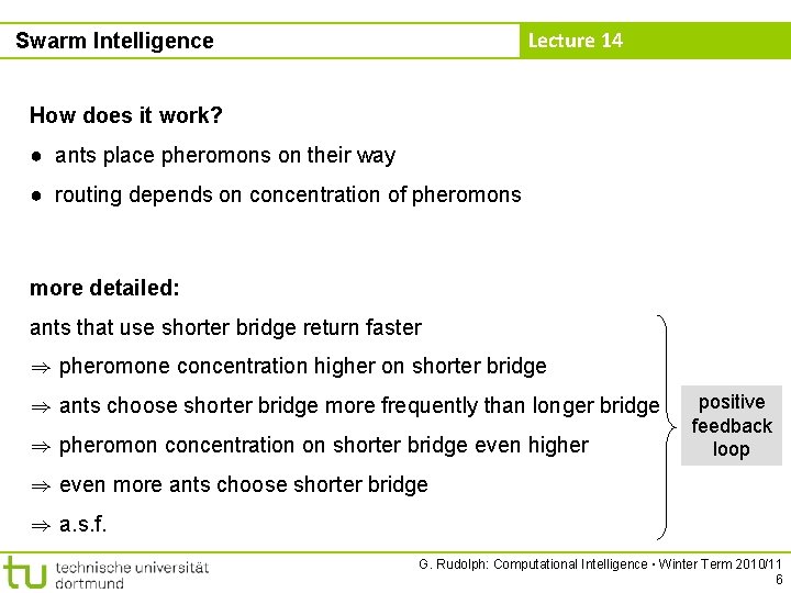 Lecture 14 Swarm Intelligence How does it work? ● ants place pheromons on their