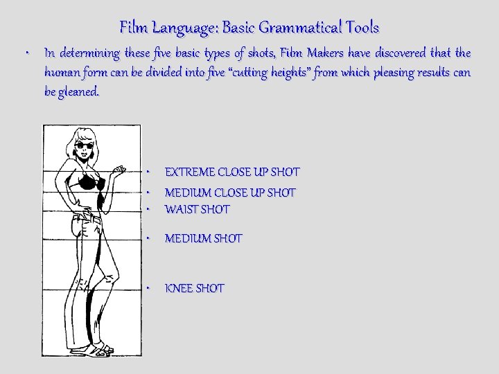 Film Language: Basic Grammatical Tools • In determining these five basic types of shots,