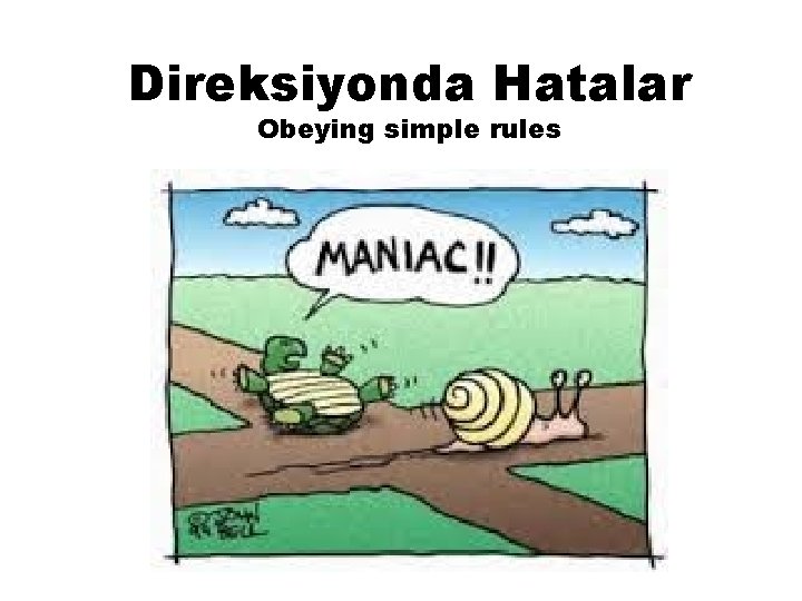 Direksiyonda Hatalar Obeying simple rules 