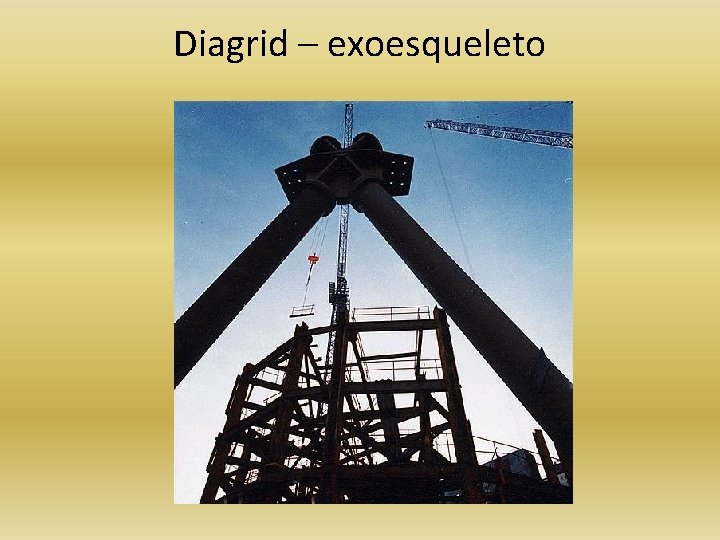 Diagrid – exoesqueleto 