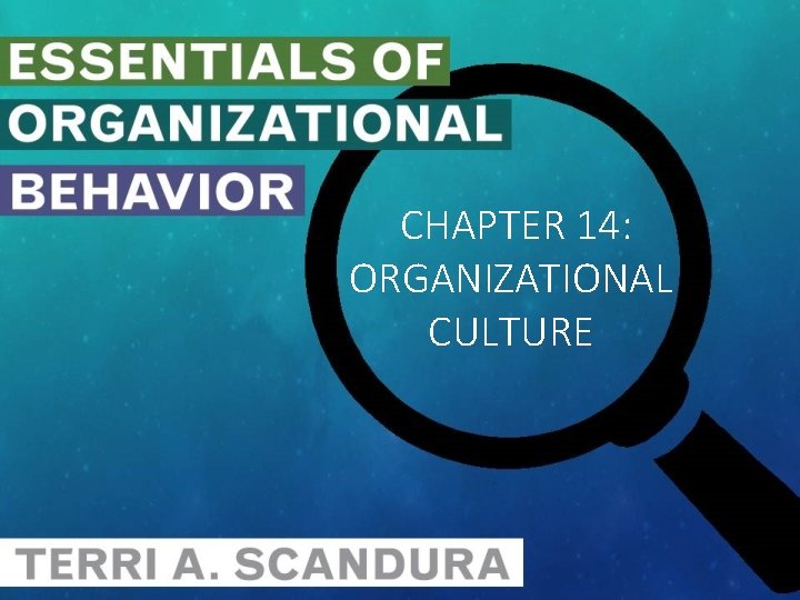 CHAPTER 14: ORGANIZATIONAL CULTURE 