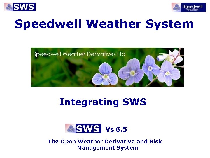 Speedwell Weather System Integrating SWS Vs 6. 5 The Open Weather Derivative and Risk
