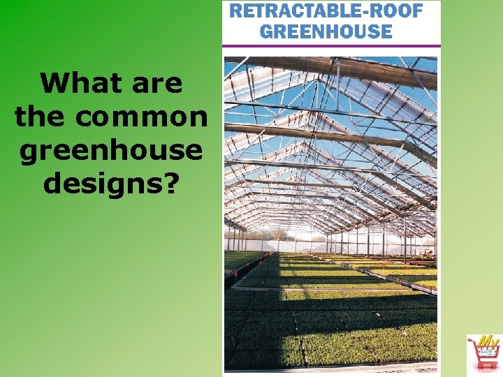 What are the common greenhouse designs? 