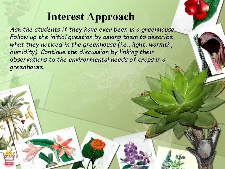 Interest Approach Ask the students if they have ever been in a greenhouse. Follow