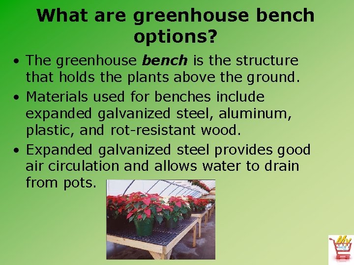 What are greenhouse bench options? • The greenhouse bench is the structure that holds