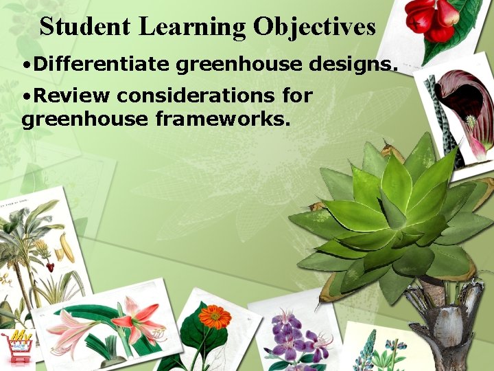 Student Learning Objectives • Differentiate greenhouse designs. • Review considerations for greenhouse frameworks. 