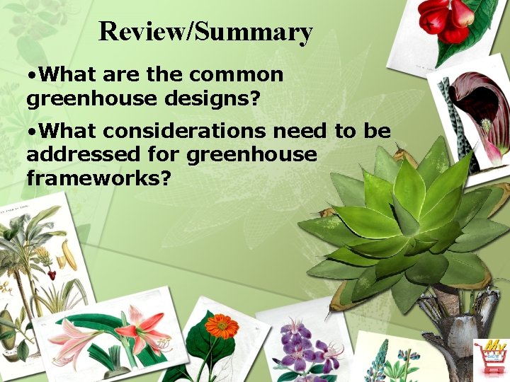 Review/Summary • What are the common greenhouse designs? • What considerations need to be