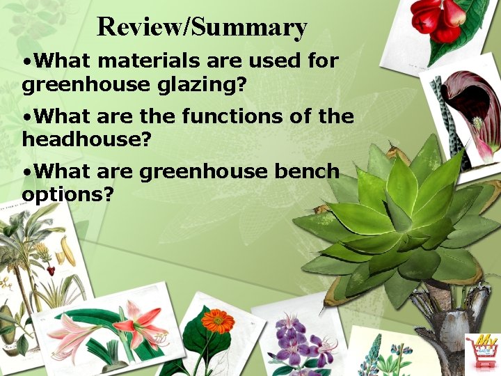 Review/Summary • What materials are used for greenhouse glazing? • What are the functions