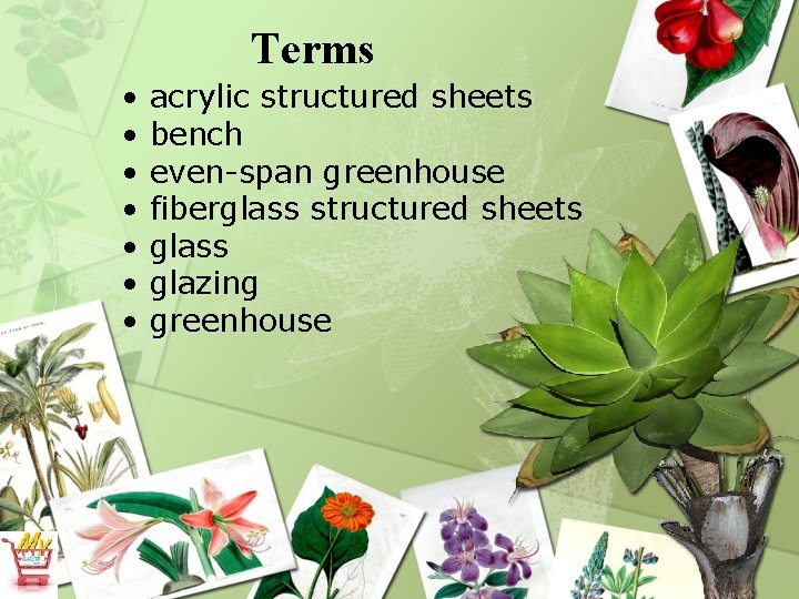 Terms • • acrylic structured sheets bench even-span greenhouse fiberglass structured sheets glass glazing