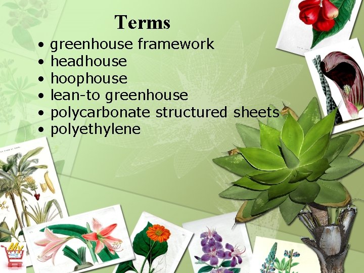 Terms • • • greenhouse framework headhouse hoophouse lean-to greenhouse polycarbonate structured sheets polyethylene