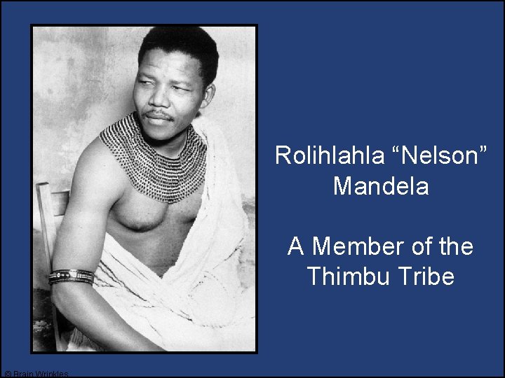 Rolihlahla “Nelson” Mandela A Member of the Thimbu Tribe © Brain Wrinkles 