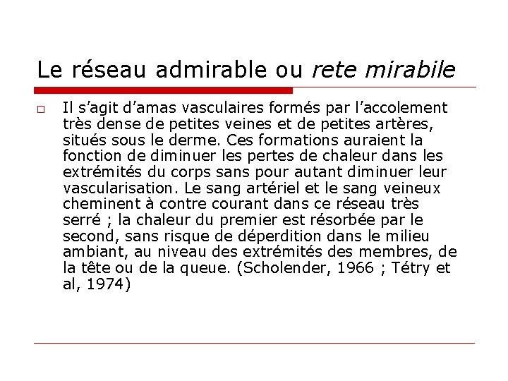 Le réseau admirable ou rete mirabile o Il s’agit d’amas vasculaires formés par l’accolement