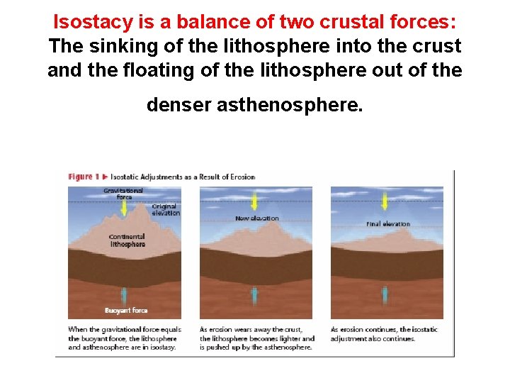 Deformation of the Crust Isostacy is a balance