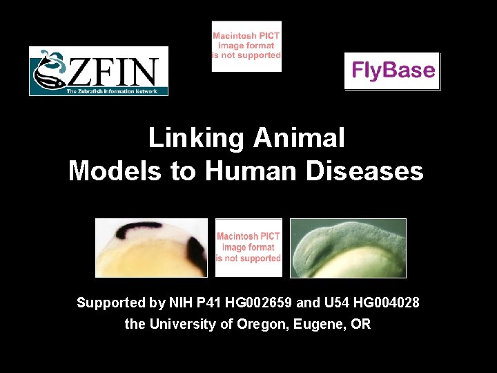 Linking Animal Models to Human Diseases Supported by NIH P 41 HG 002659 and