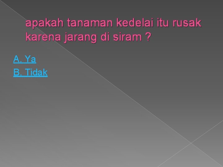 apakah tanaman kedelai itu rusak karena jarang di siram ? A. Ya B. Tidak